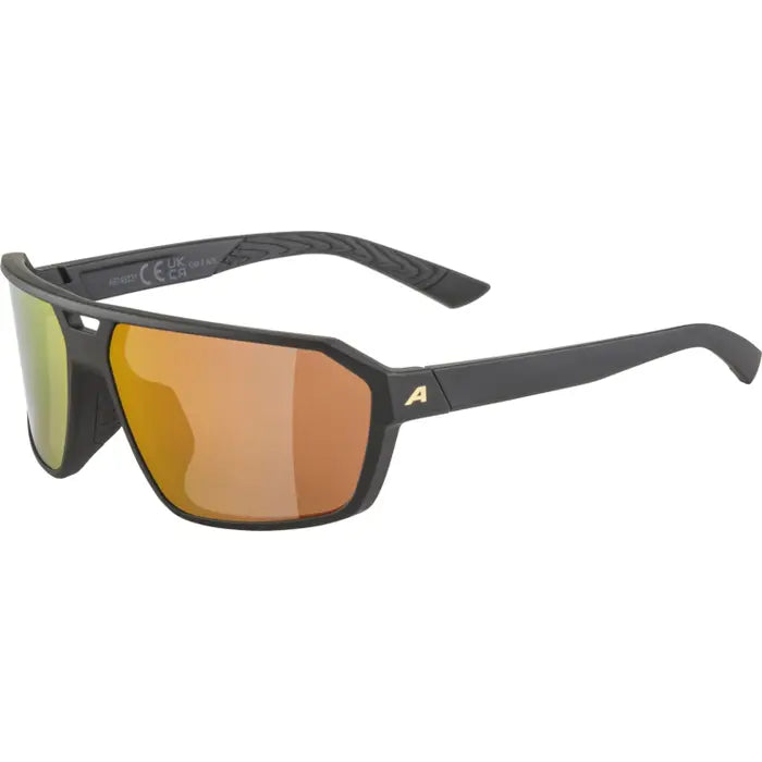 ALPINA SWIFT Sportbrille