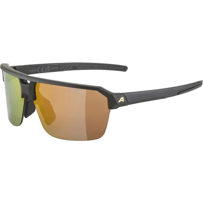 ALPINA SWIFT HR Sportbrille