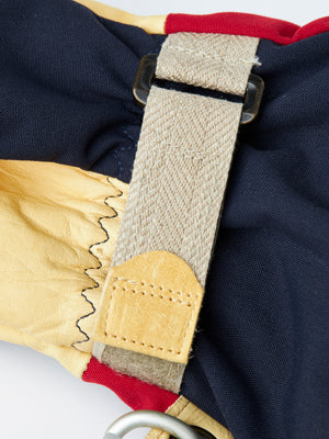 Hestra Philippe Raoux Classic - 5 finger SALE