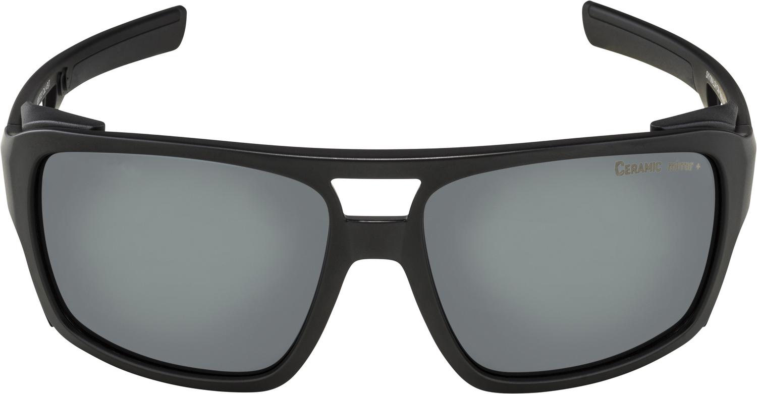 ALPINA SKYWALSH glacier goggles
