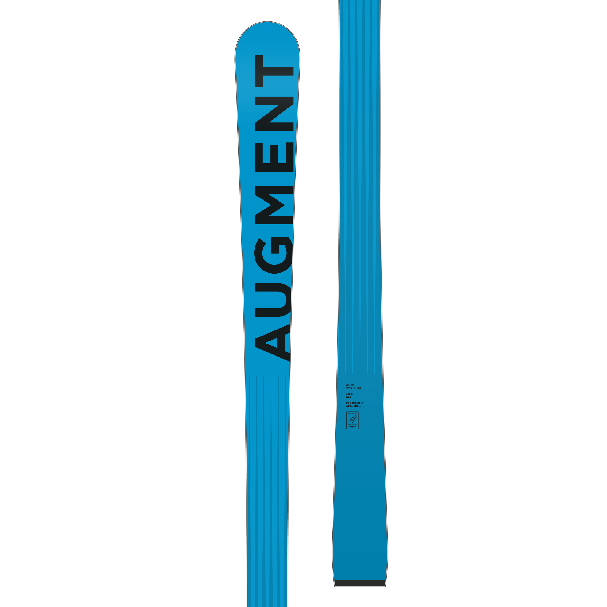 Augment GS FIS 193 R30 - WC Interface 10mm