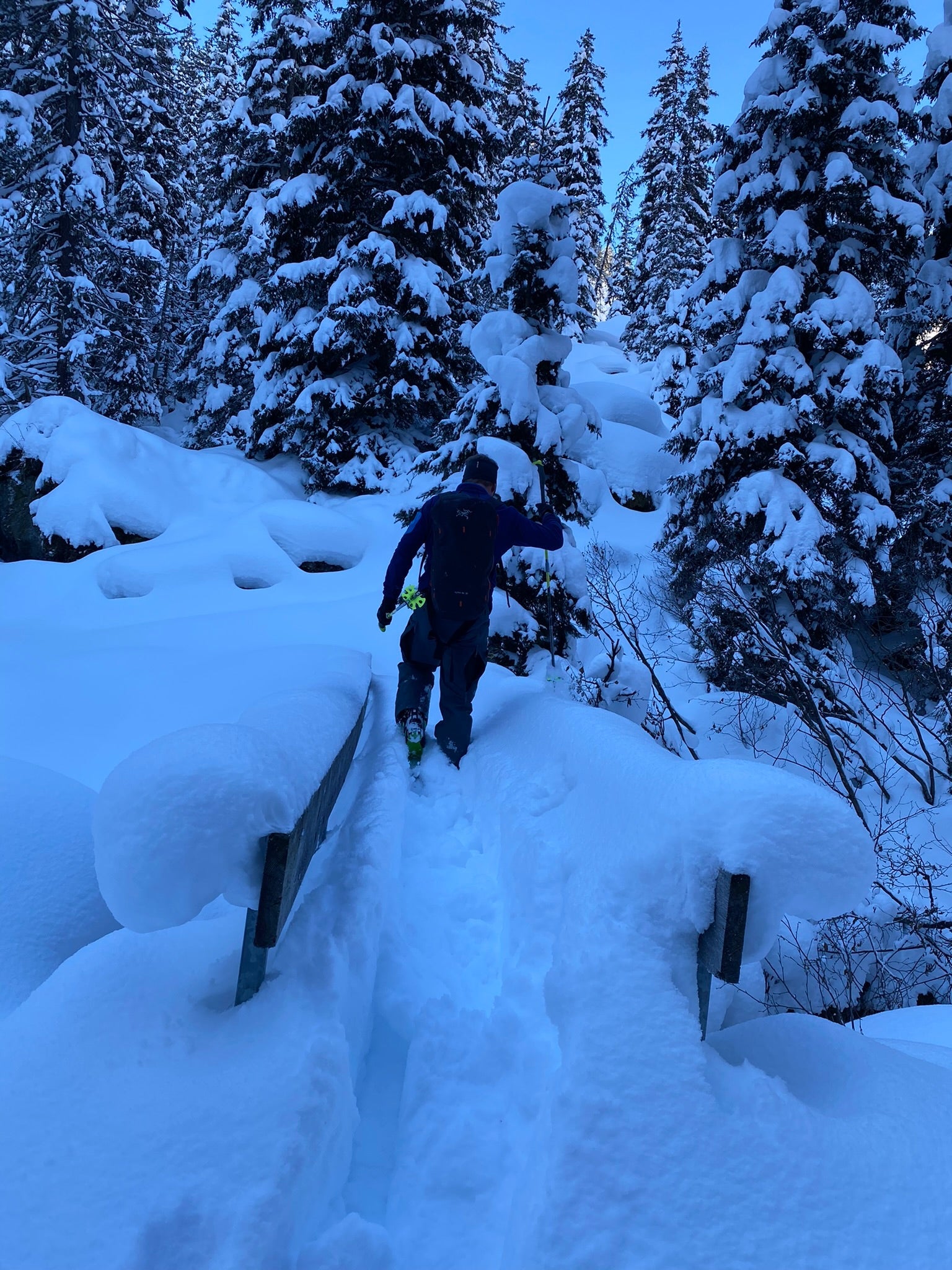 Avalanche course basic LVS Zillertal Arena & Kitzbühel Alps