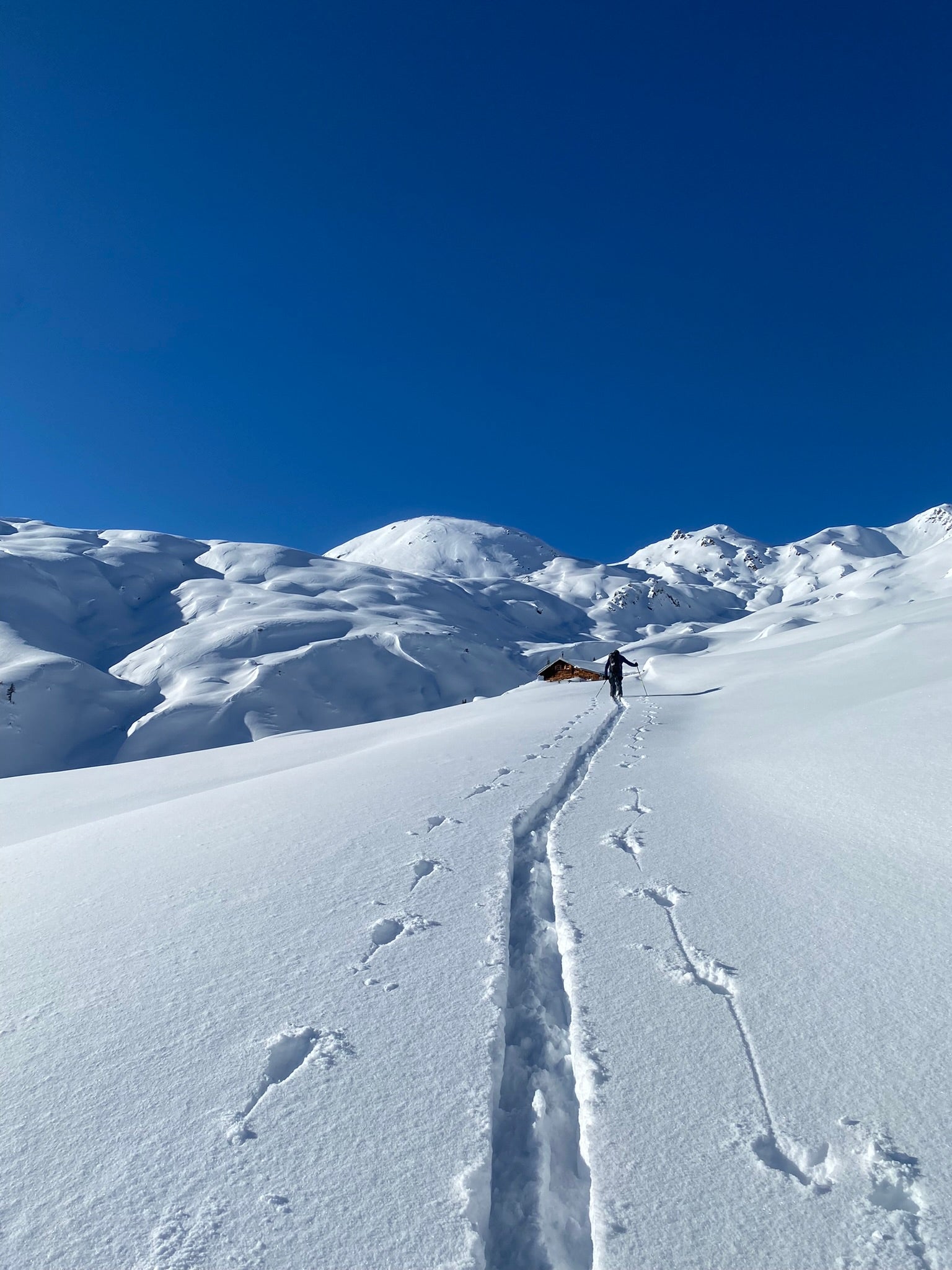 Avalanche course basic LVS Zillertal Arena & Kitzbühel Alps