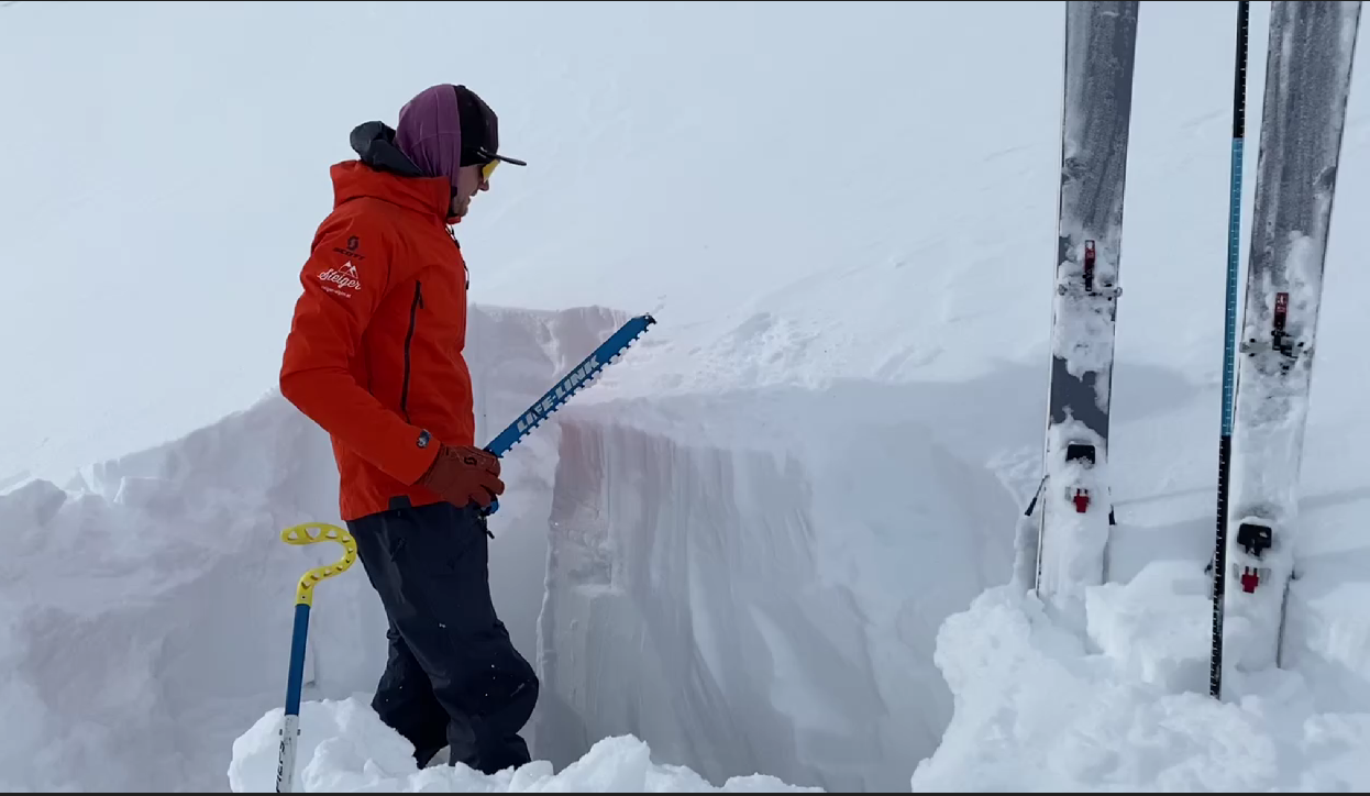 Avalanche course basic LVS Zillertal Arena & Kitzbühel Alps