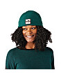 Smartwool Patch Beanie emerald green heather
