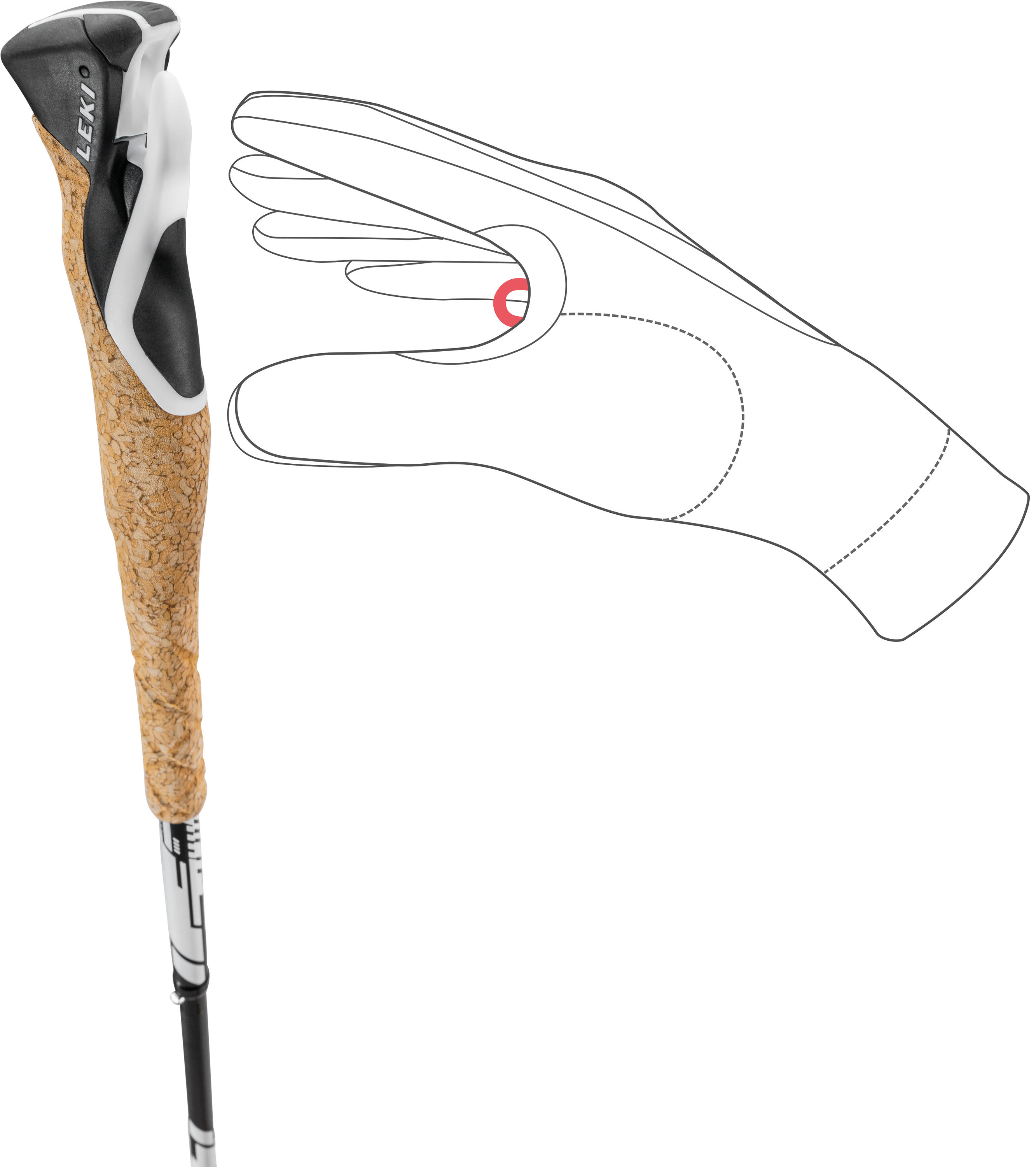 Leki Evotrail FX.ONE TA trail running pole