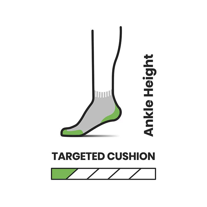 Smartwool Run Targeted Cushion Ankle Socks mist blue