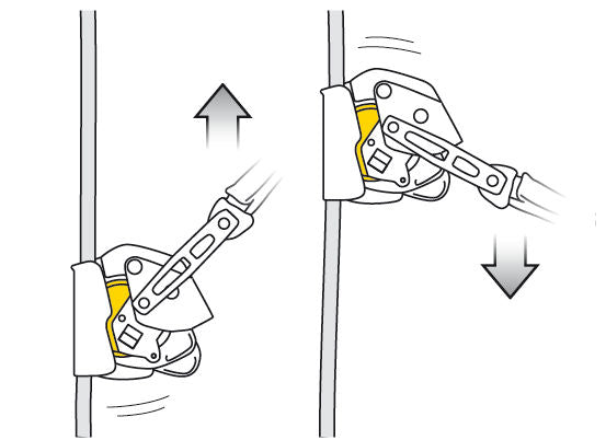 Petzl mitlaufendes Auffanggerät ASAP LOCK