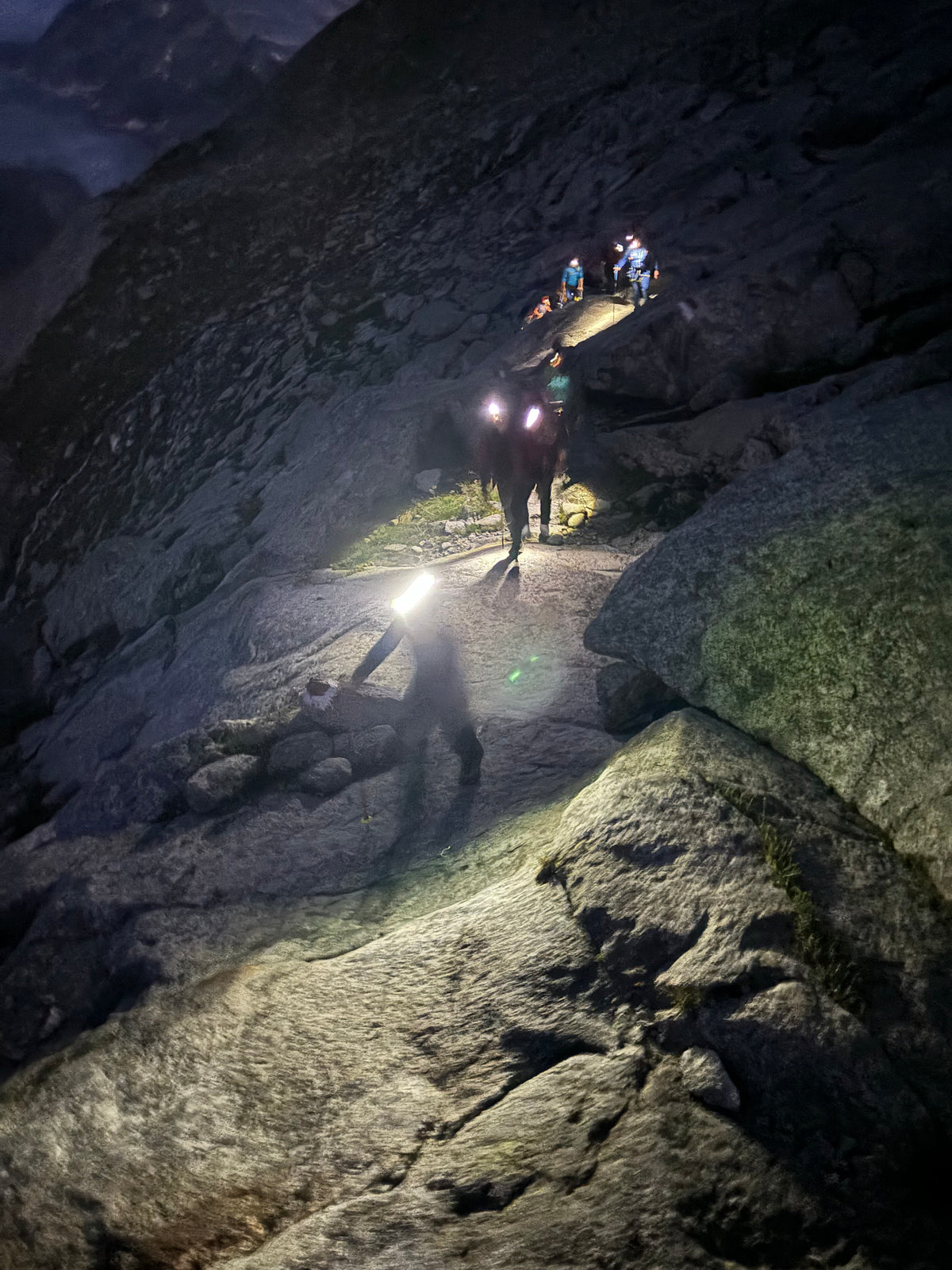 HIGH TOURS Glacier course Großvenediger Kürsinger