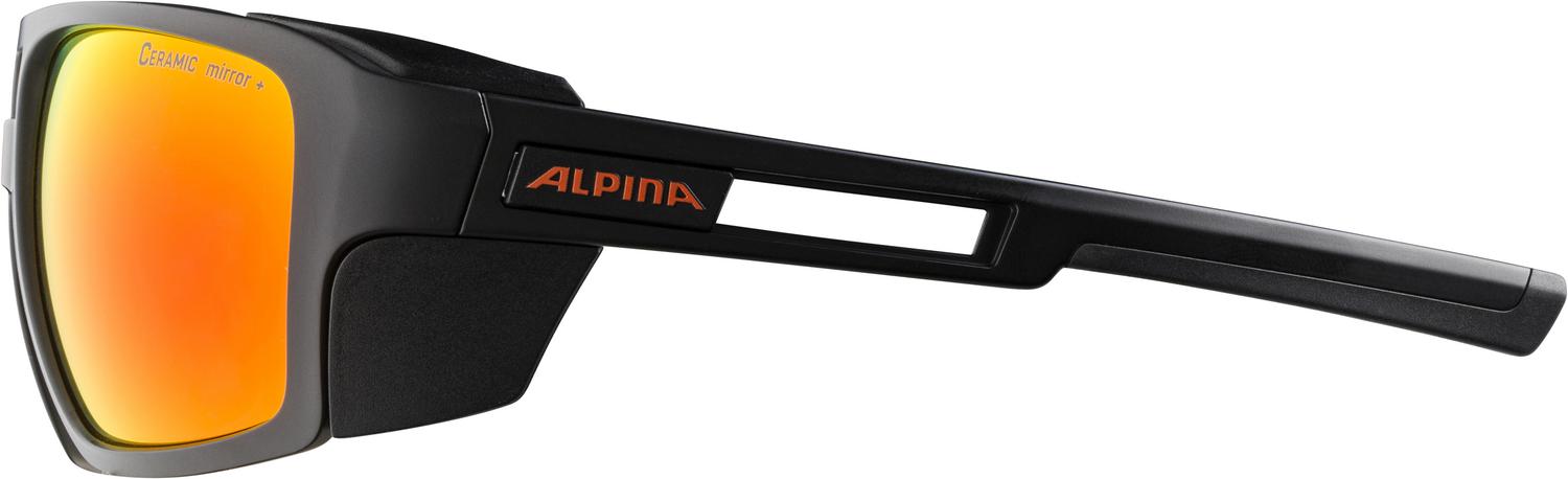 ALPINA SKYWALSH glacier goggles